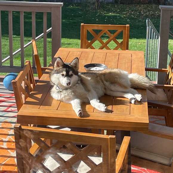 Meet your Posher, Alicia - Picture 7 of 7